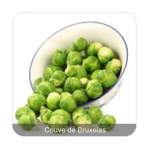 Couve de Bruxelas Couve de Bruxelas