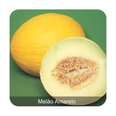Melão Amarelo Melão Amarelo