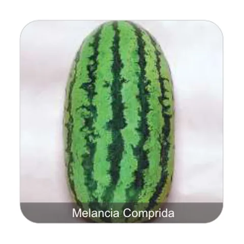 Melancia Fairfax Melancia Comprida