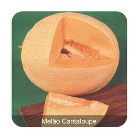 Melão Hales Best Jumbo Melão Cantaloupe