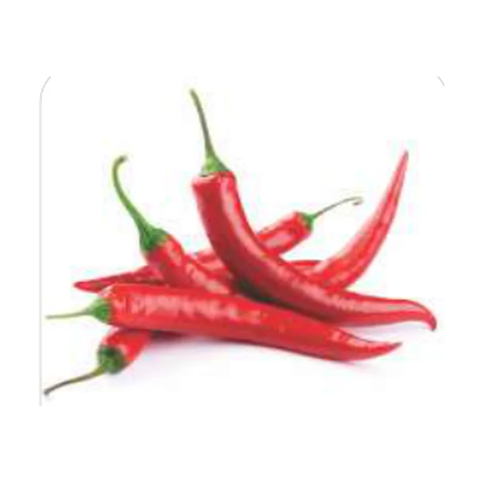 Pimenta Malagueta Pimenta Malagueta Grau de Picância - Alta