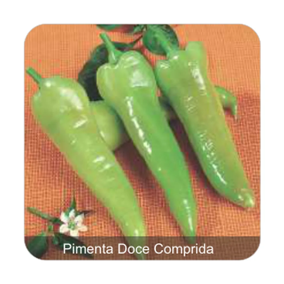 Pimenta Doce Comprida Pimenta Doce Comprida Sem Picância
