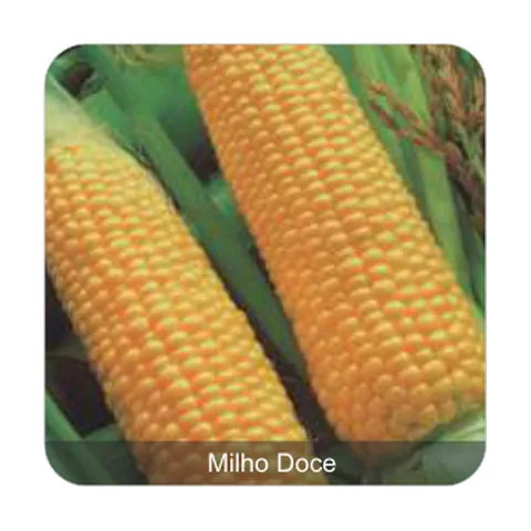 Milho Super Doce Aruba Milho Doce