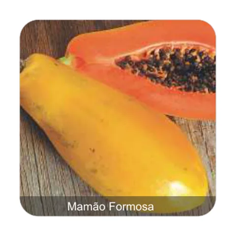 Mamão Formosa Mamão Formosa