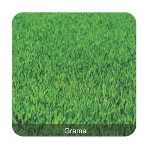 Grama São Carlos Grama