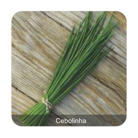 Cebolinha Verde Fina Cebolinha