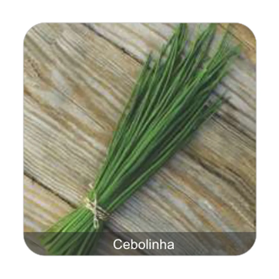Cebolinha Verde Fina Cebolinha