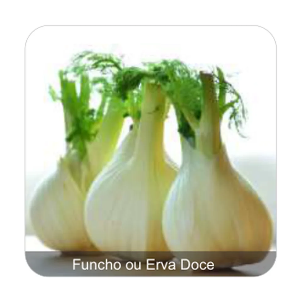Funcho ou Erva Doce Funcho ou Erva Doce