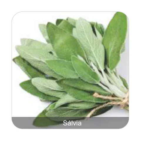 Sálvia para Tempero Sálvia