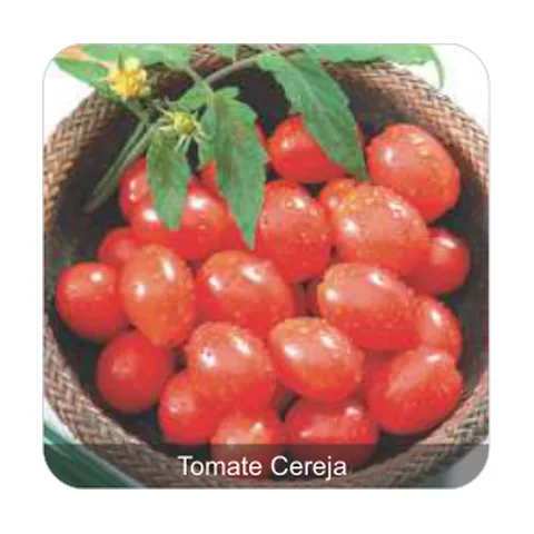 Tomate Cereja Carolina Tomate Cereja