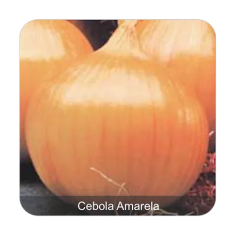 Cebola Ipa 11 Cebola Amarela