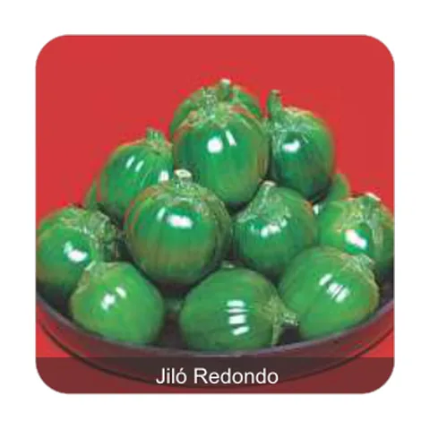 Jiló Redondo Jiló Redondo