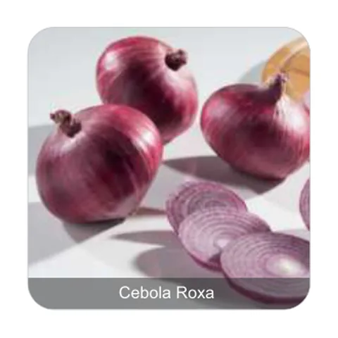 Cebola Ipa 10 Cebola Roxa
