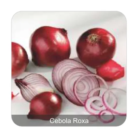 Cebola Crioula Roxa Cebola Roxa