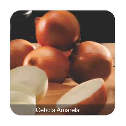 Cebola Crioula Conesul Cebola Amarela