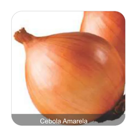 Cebola Baia Herval Cebola Amarela