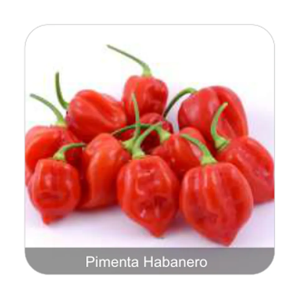 Pimenta Valesca Grau de Picância - Muito Alta