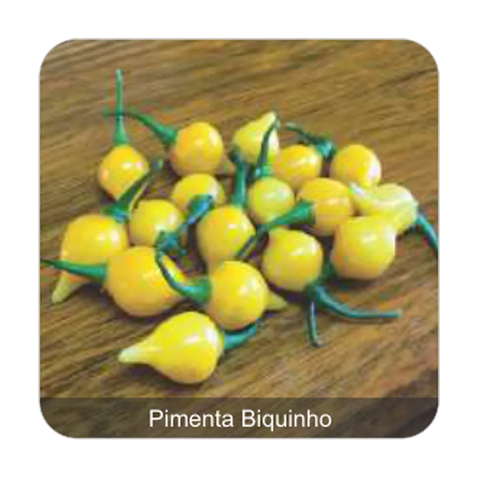 Pimenta Guadalajara Pimenta Biquinho Sem Picância