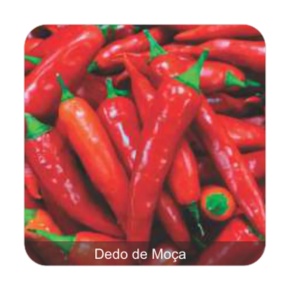 Pimenta Dedo de Moça Dedo de Moça Grau de Picância - Médio