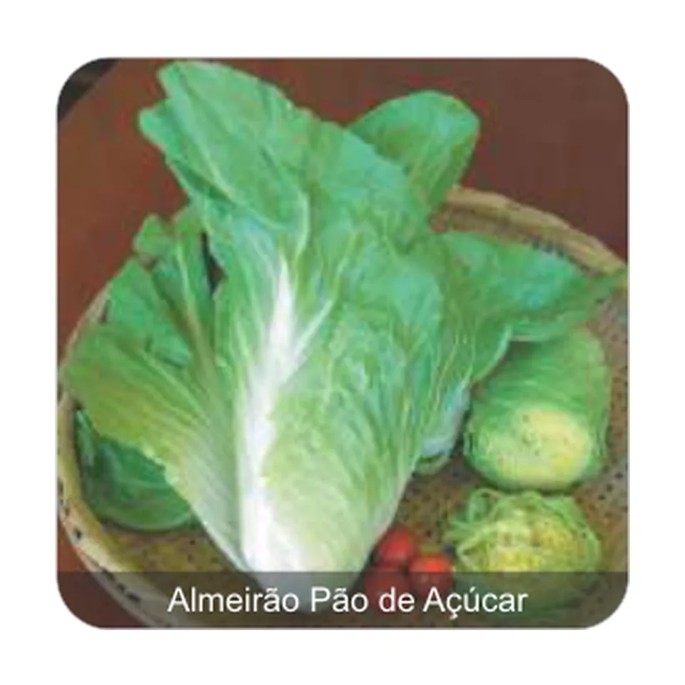 Almeirão Pão de Açúcar Almeirão Pão de Açúcar