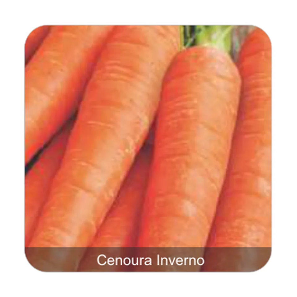 Cenoura de Flakker Cenoura Inverno