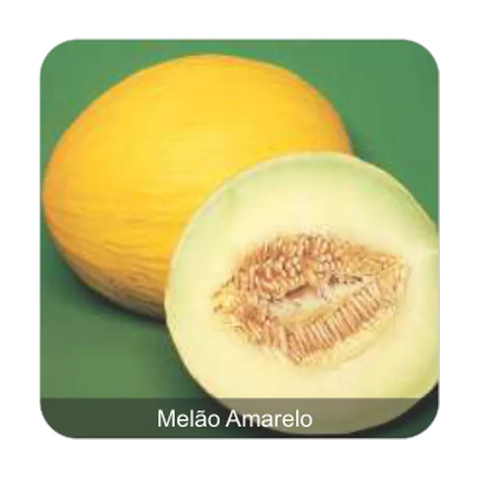 Melão Amarelo Melão Amarelo