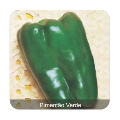 Pimentão Yolo Wonder Pimentão Verde