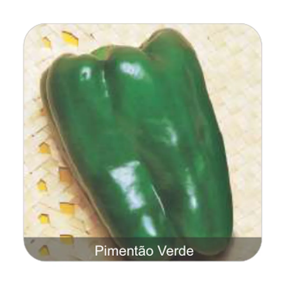 Pimentão Yolo Wonder Pimentão Verde