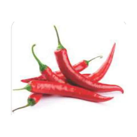 Pimenta Malagueta Pimenta Malagueta Grau de Picância - Alta