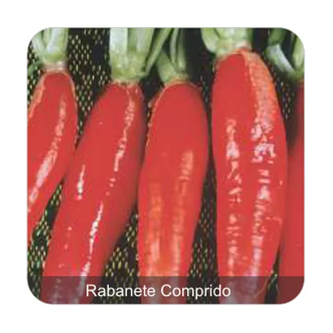 Rabanete Vermelho Rabanete Comprido