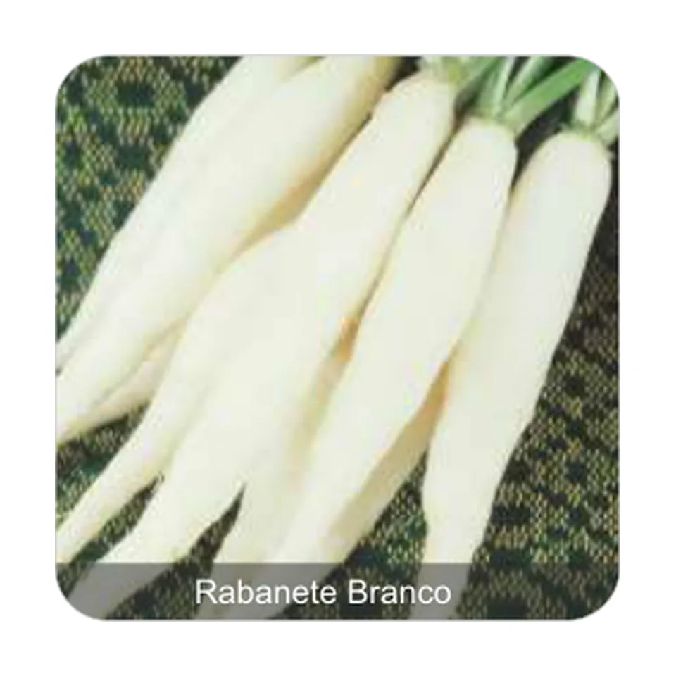 Rabanete Branco Rabanete Branco