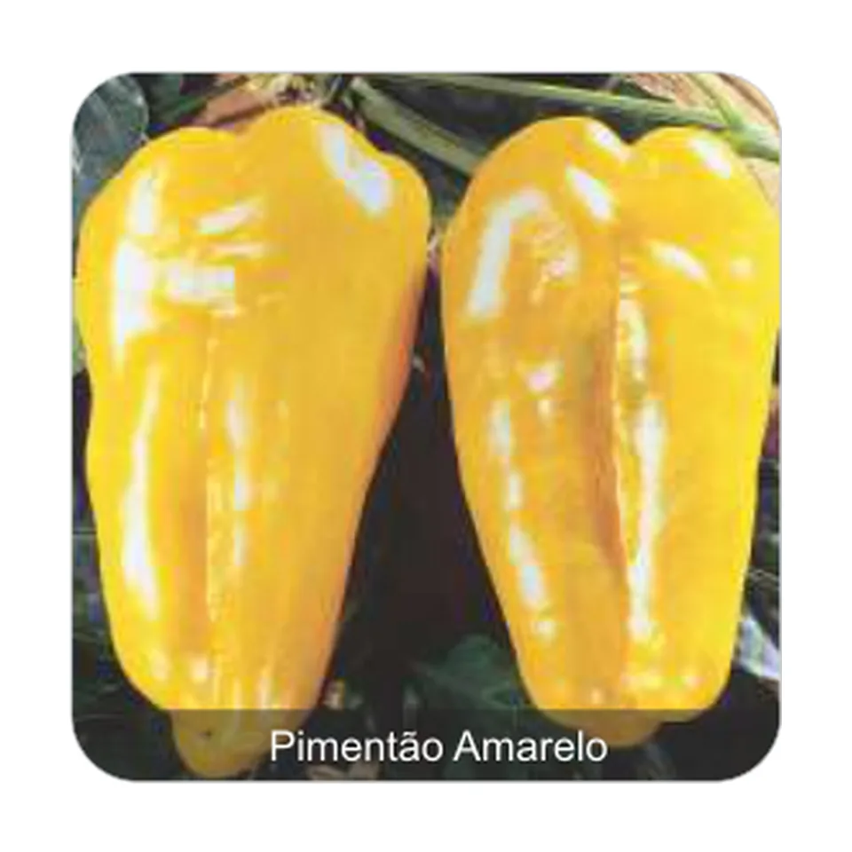 Pimentão Amarelo SF Pimentão Amarelo