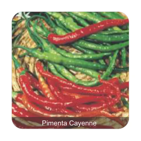 Pimenta Cayenne Pimenta Cayenne Grau de Picância - Médio