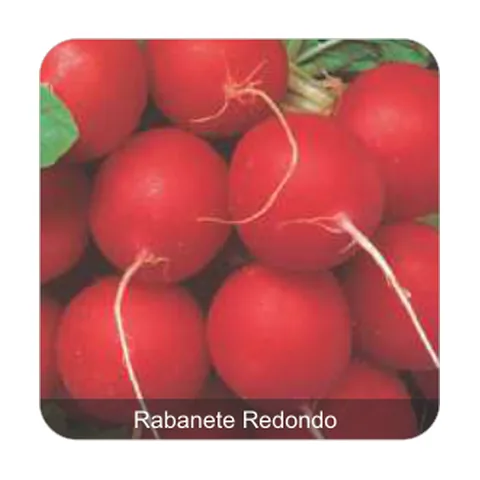 Rabanete Vip Crimson Rabanete Redondo Linha Golden