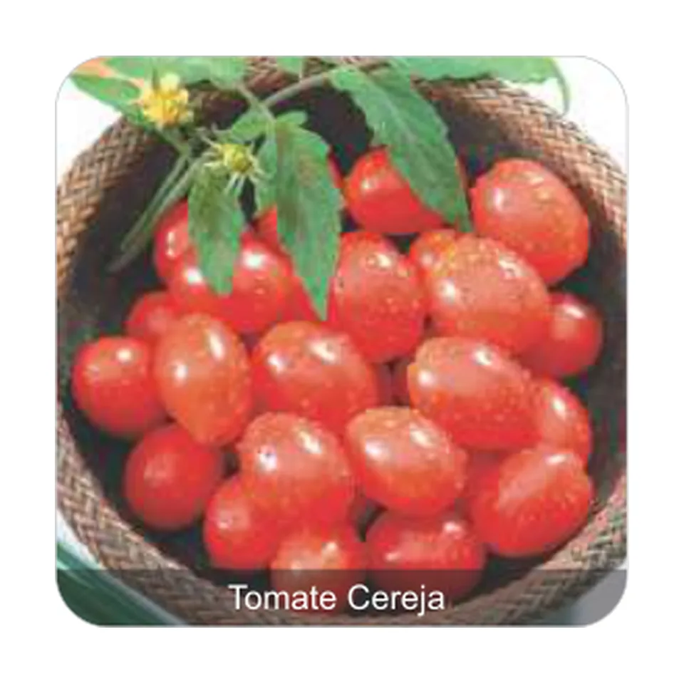 Tomate Cereja Carolina Tomate Cereja