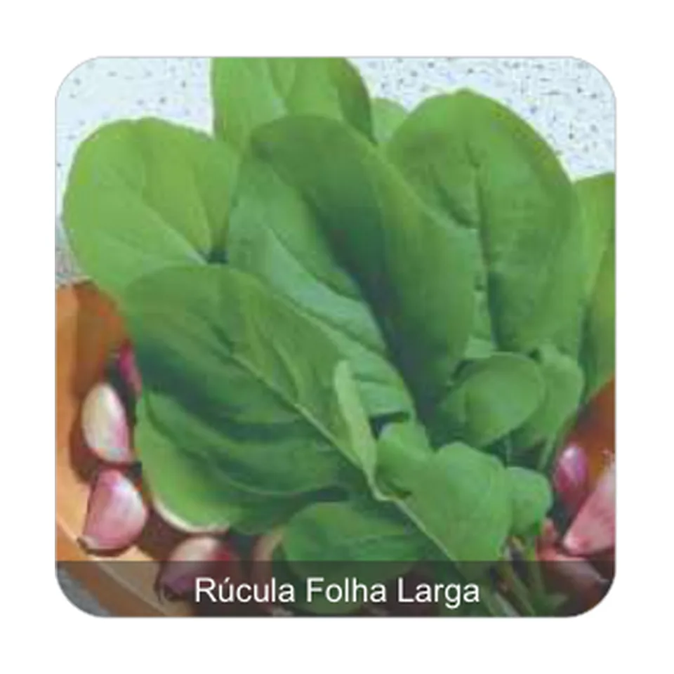 Rúcula Apreciatta Rúcula Folha Larga