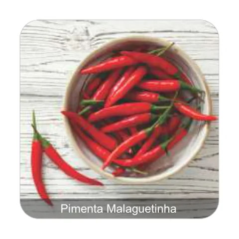 Pimenta Malaguetinha Pimenta Malaguetinha Grau de Picância - Alta