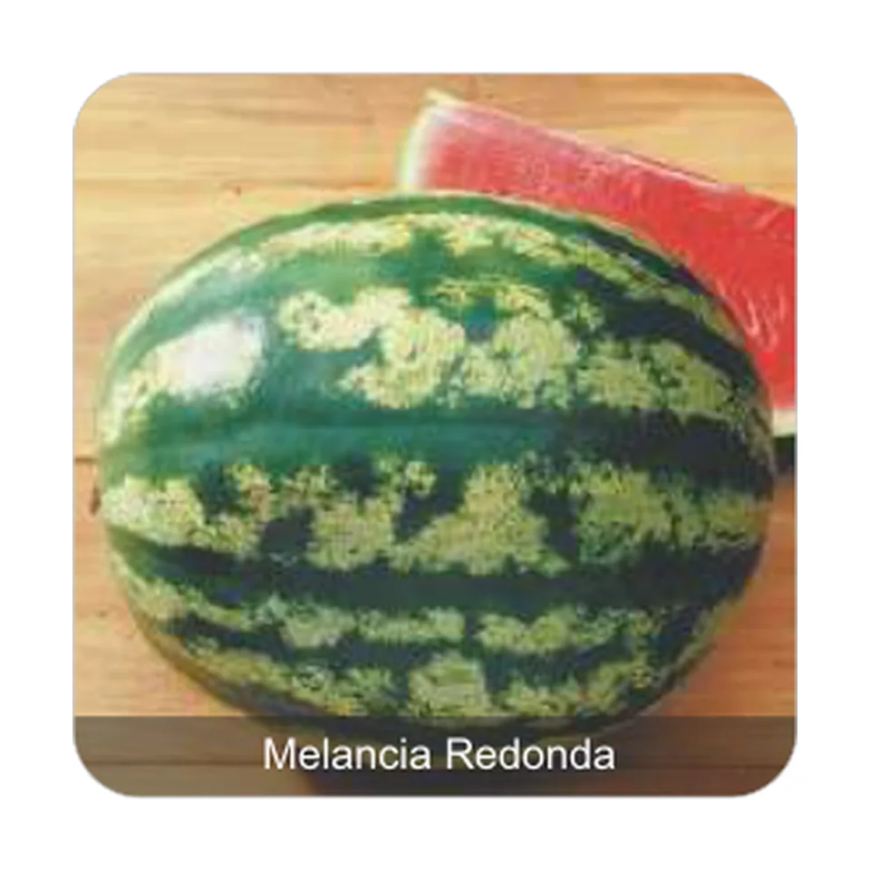 Melancia Crimson Select Plus Melancia Redonda