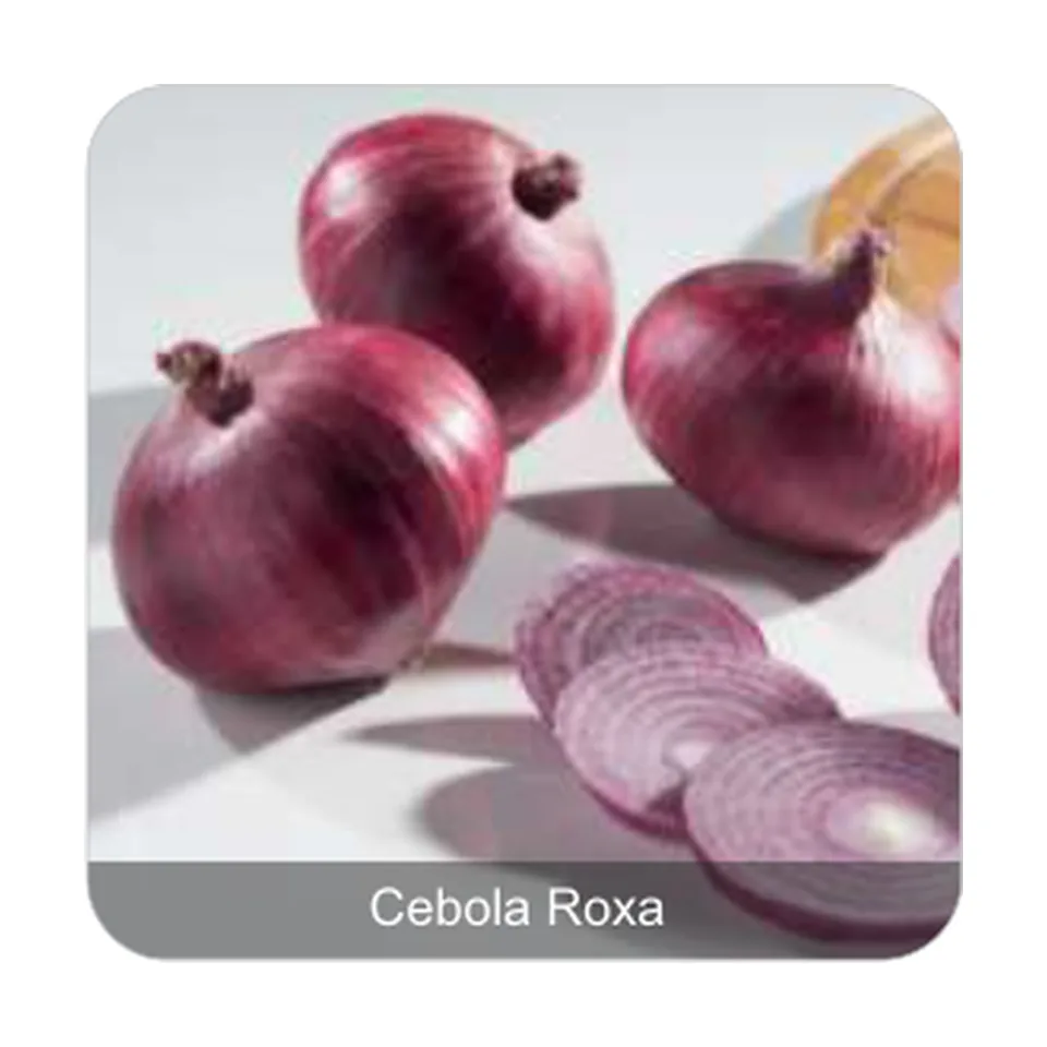 Cebola Ipa 10 Cebola Roxa
