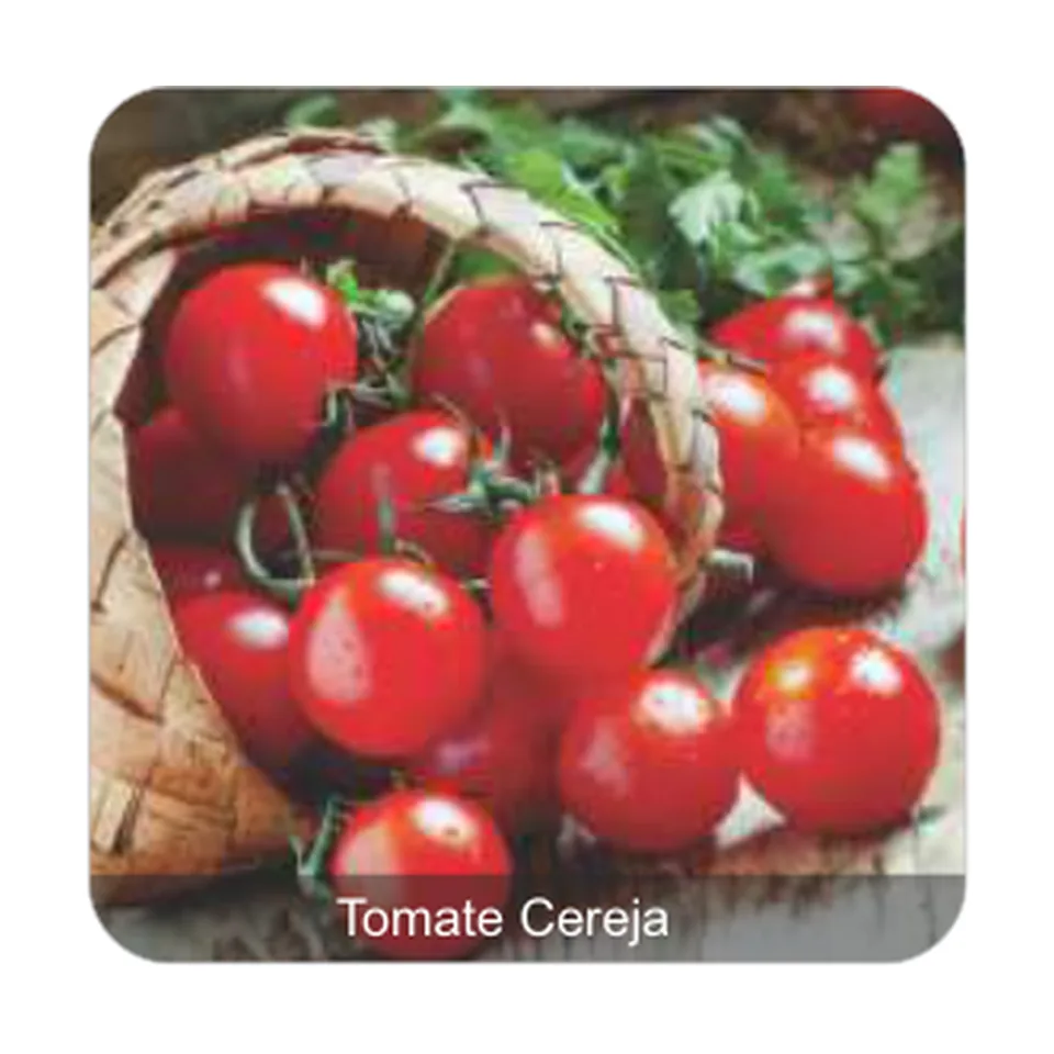 Tomate Yubi Tomate Cereja