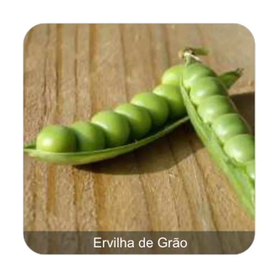 Ervilha Eloá Ervilha de Grão