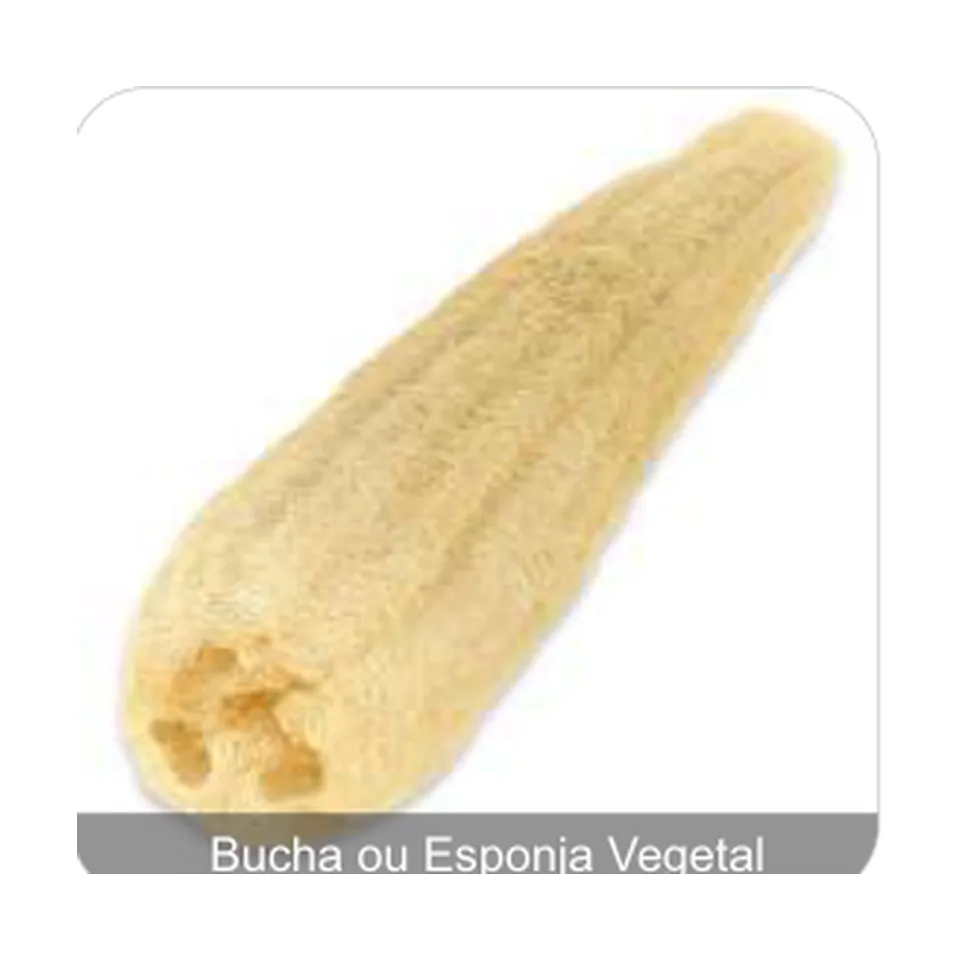 Bucha Bob Bucha ou Esponja Vegetal