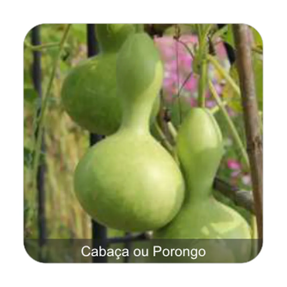 Cabaça Silueta Cabaça ou Porongo