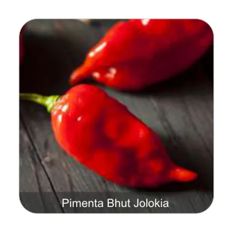 Pimenta Urutu Grau de Picância - Muito Alta