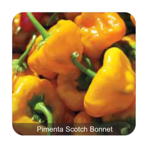 Pimenta Nuclear Pimenta Scotch Bonnet Grau de Picância - Muito Alta