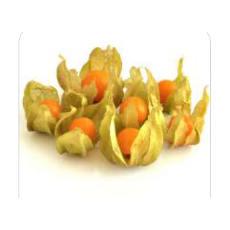 Fisális Goldenberry Fisális