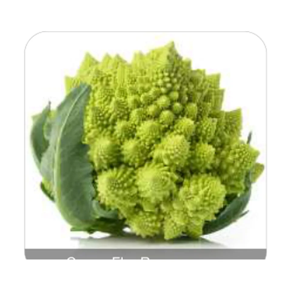 Couve-Flor Kéfera Couve-Flor Romanesco