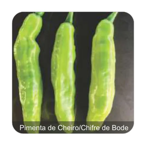Pimenta Maiara Pimenta de Cheiro/Chifre de Bode Sem Picância